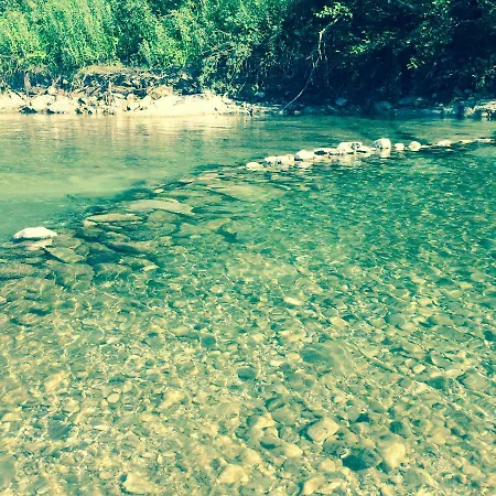 Gaja - Golte