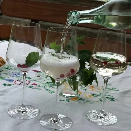 Gaja - Golte Apartment Recica ob Savinji