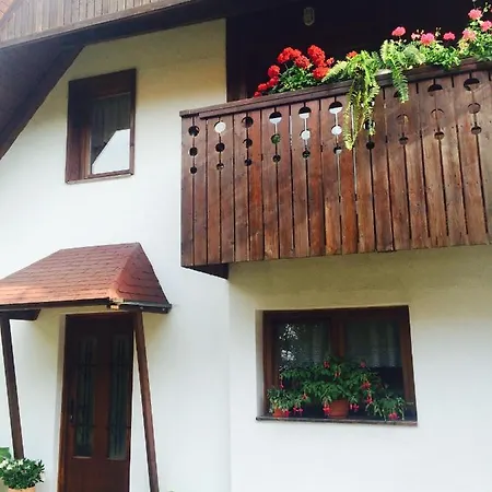 Apartment Gaja - Golte *